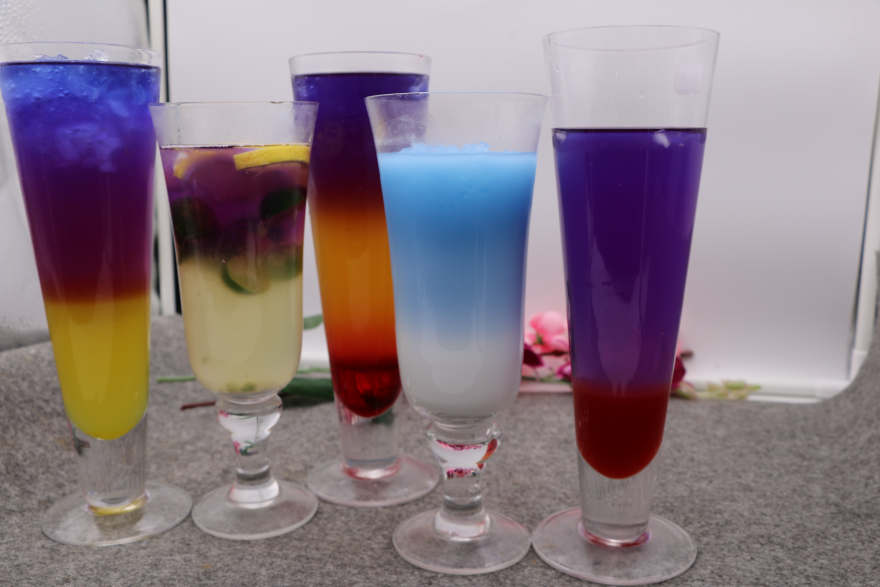 长沙泰国蝶豆花培训